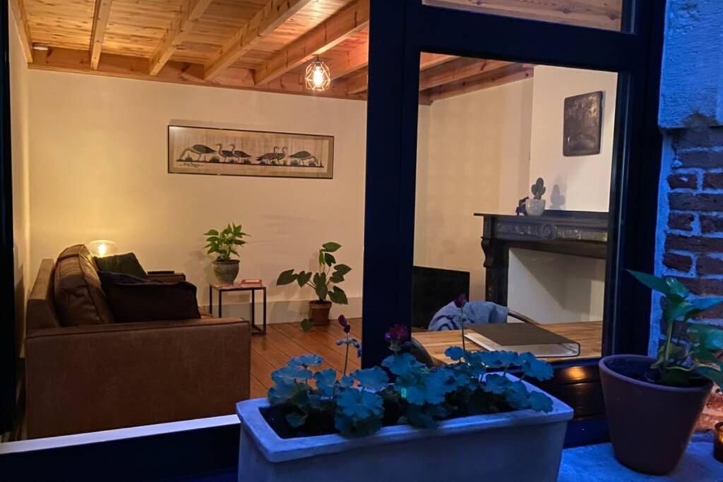 דירות אנטוורפן Duplex In Historical Centre With Private Courtyard מראה חיצוני תמונה