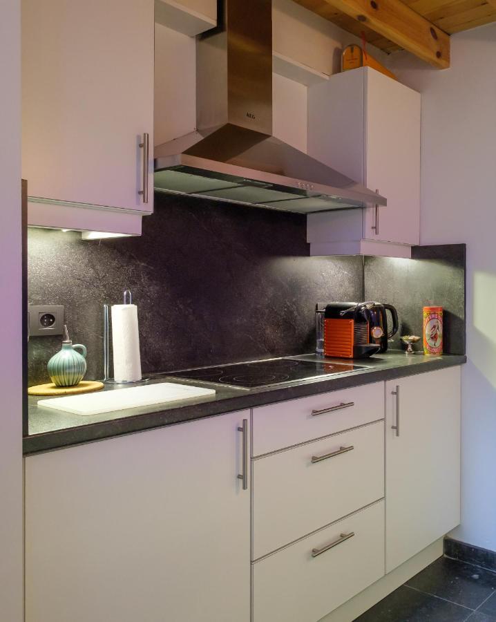 דירות אנטוורפן Duplex In Historical Centre With Private Courtyard מראה חיצוני תמונה